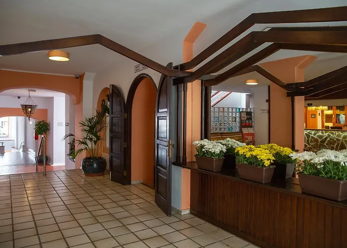 Club Tenerife Los Cristianos (Tenerife)